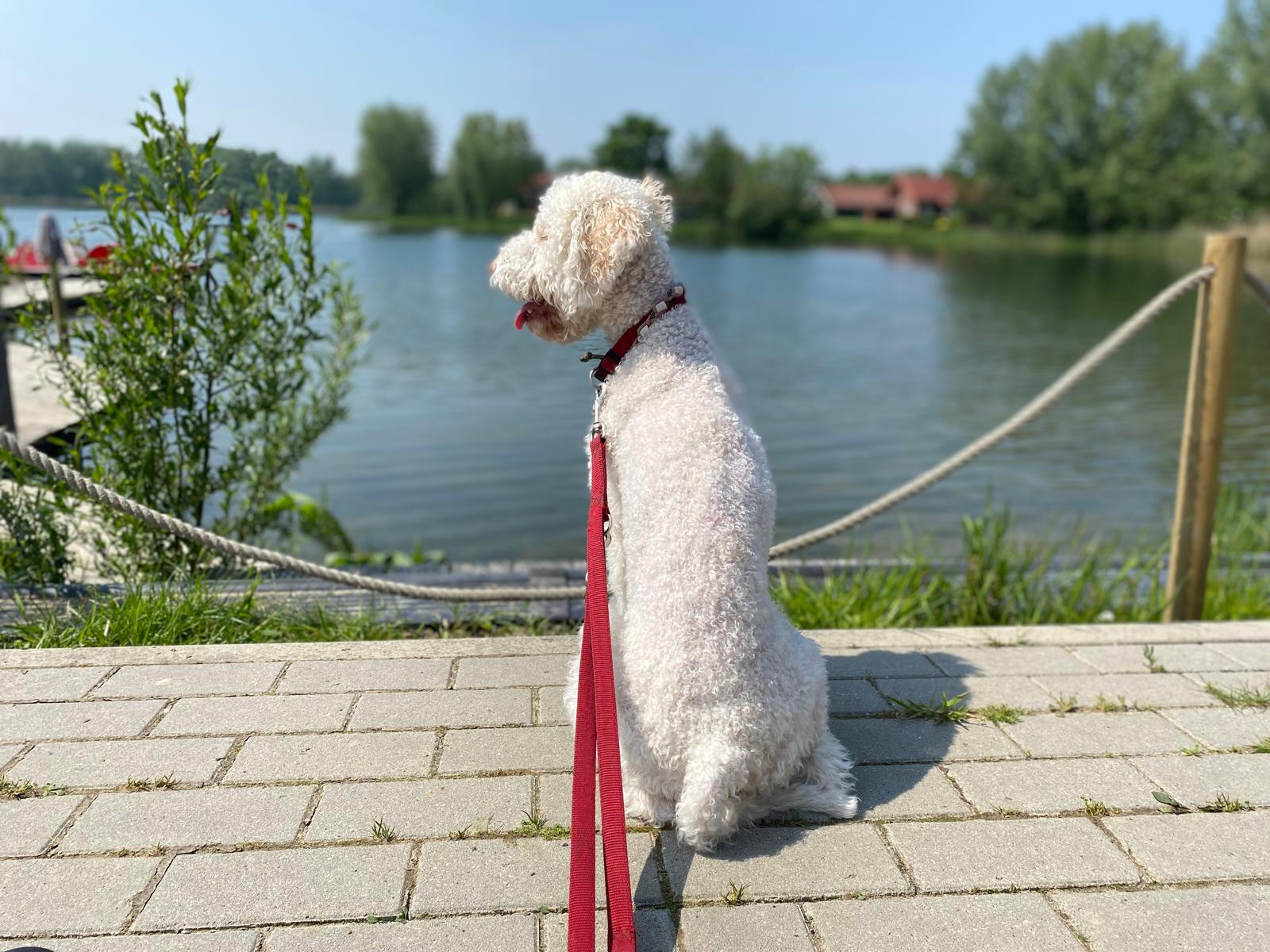 WhatsApp Bild 2025-04-11 um 21.48.34_360a1868